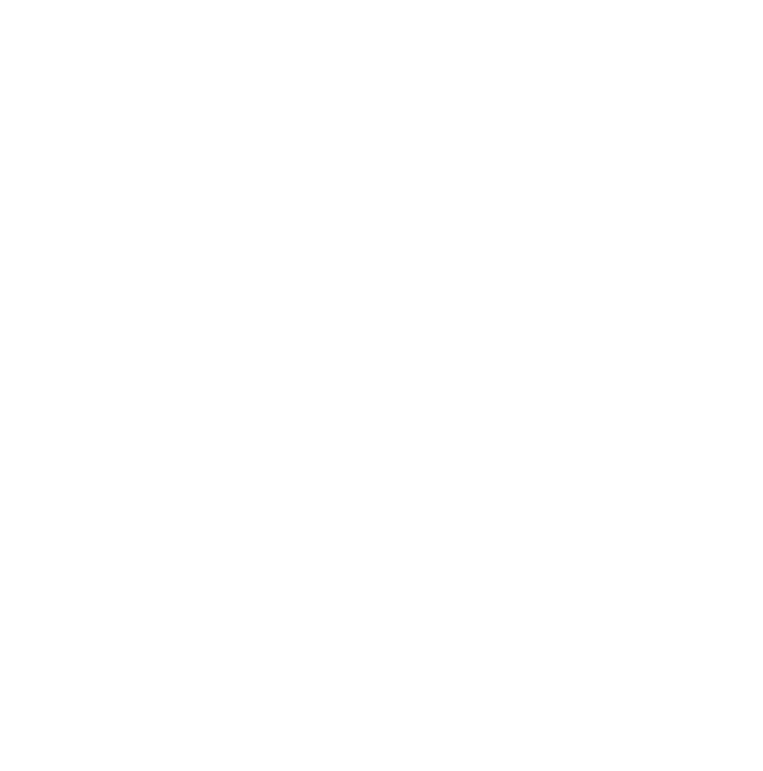 Vitruvian Man